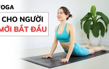 Yoga cho người mới bắt đầu