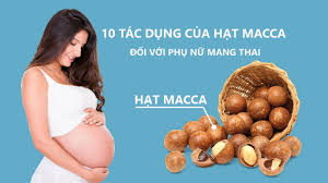 Tác dụng (công dụng) của hạt (quả) macca (mắc ca) với phụ nữ