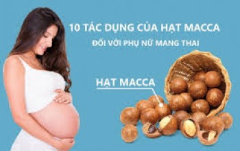 Tác dụng (công dụng) của hạt (quả) macca (mắc ca) với phụ nữ