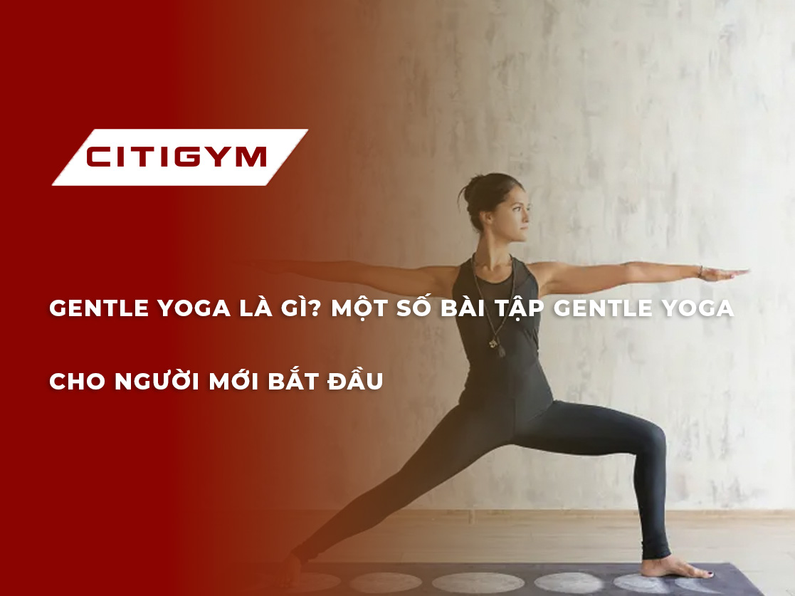 Gentle yoga - Tư thế yoga dành cho người mới