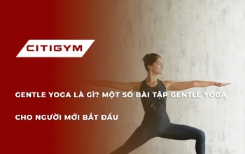 Gentle yoga - Tư thế yoga dành cho người mới