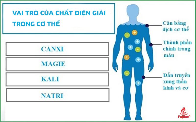 Chất điện giải có vai trò gì trong cơ thể? ⋆ Kangaroo Group