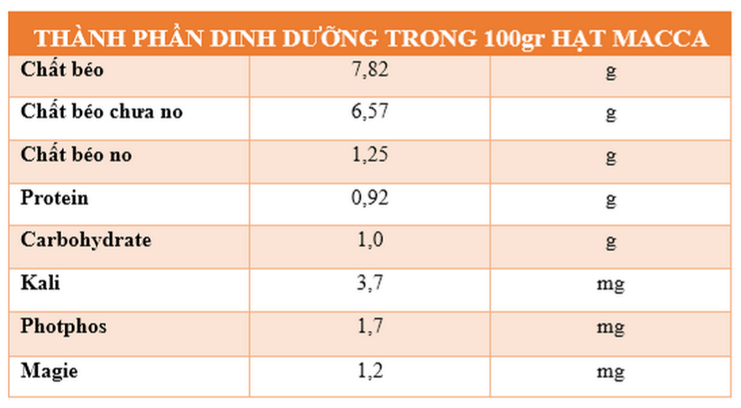 Bất ngờ với 12 tác dụng của hạt Macca và cách ăn hạt mắc ca đúng cách |  CÔNG TY TNHH MTV DƯỢC PHẨM BH